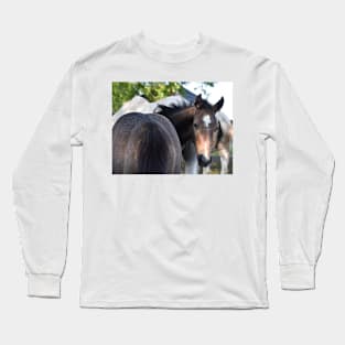 TB COLT Long Sleeve T-Shirt